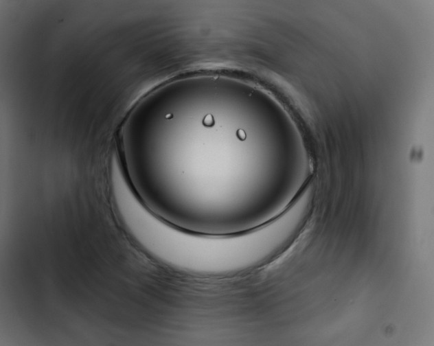 X0000103491361200809121704