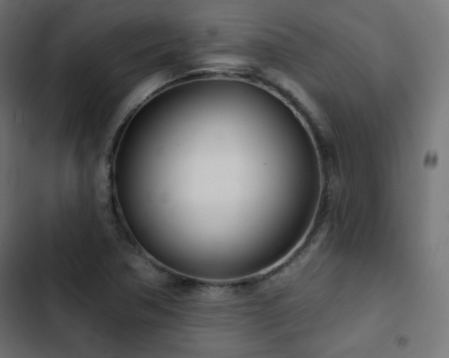 X0000103491362200809121704