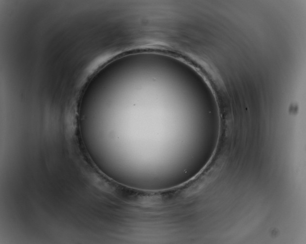 X0000103491363200809121704