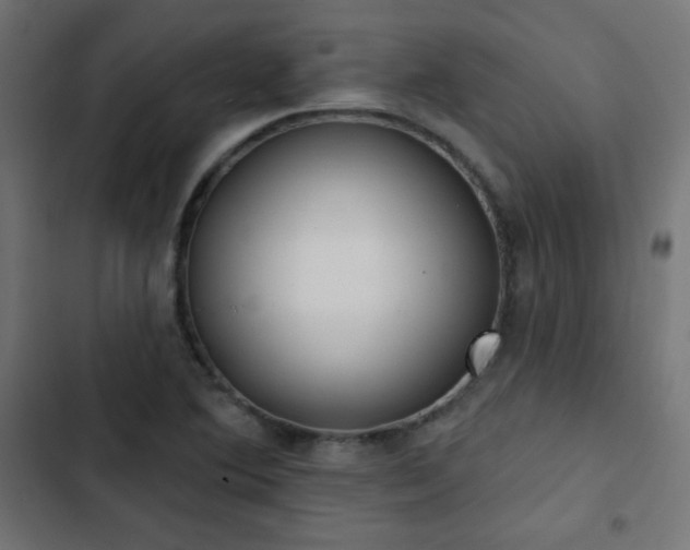 X0000103491364200809121704