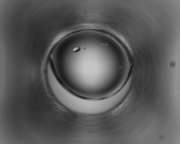 X0000103491365200809121704