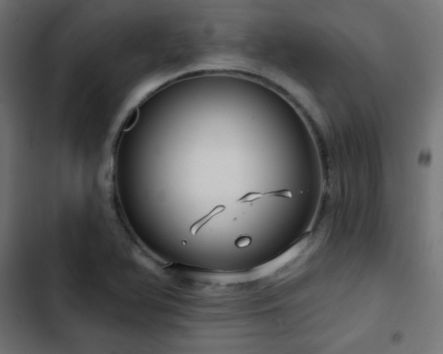 X0000103491366200809121704