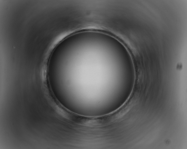 X0000103491367200809121704