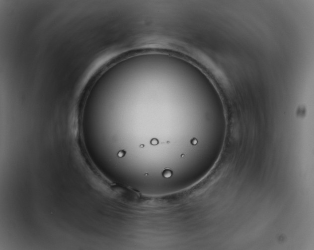 X0000103491368200809121704