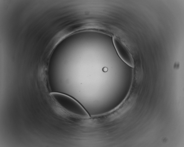 X0000103491369200809121704