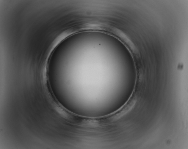 X0000103491370200809121704