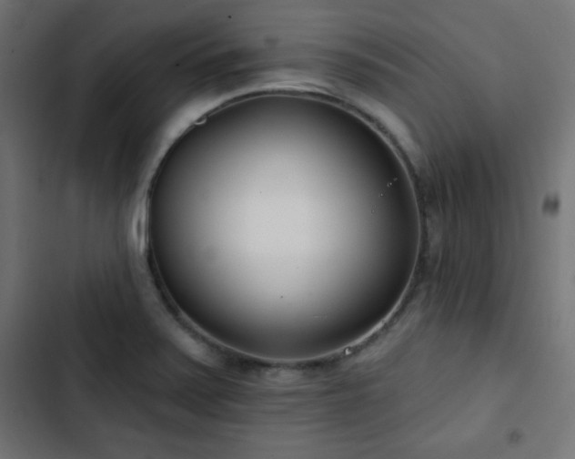 X0000103491371200809121704