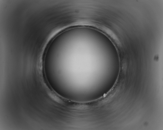 X0000103491372200809121704