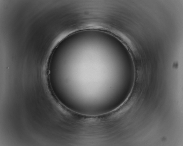 X0000103491373200809121704