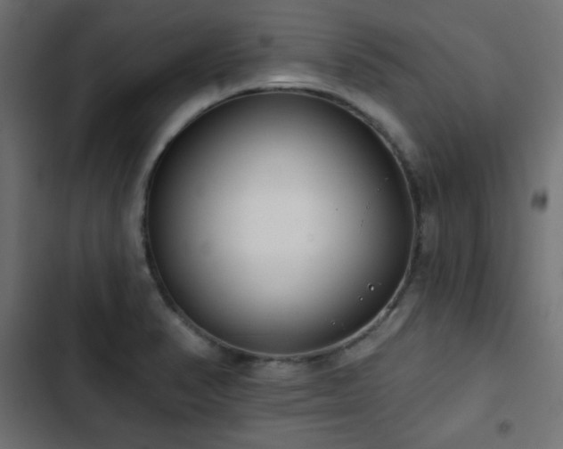 X0000103491374200809121704