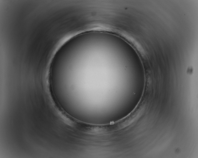 X0000103491375200809121704