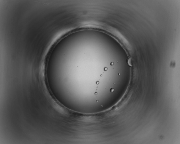 X0000103491376200809121704