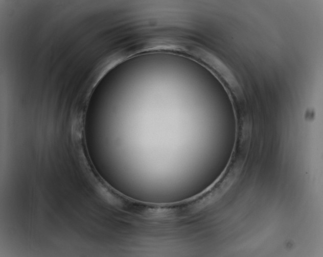 X0000103491377200809121704