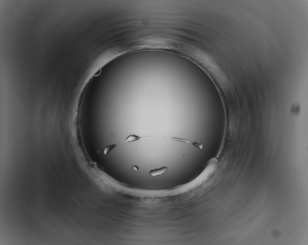 X0000103491378200809121704