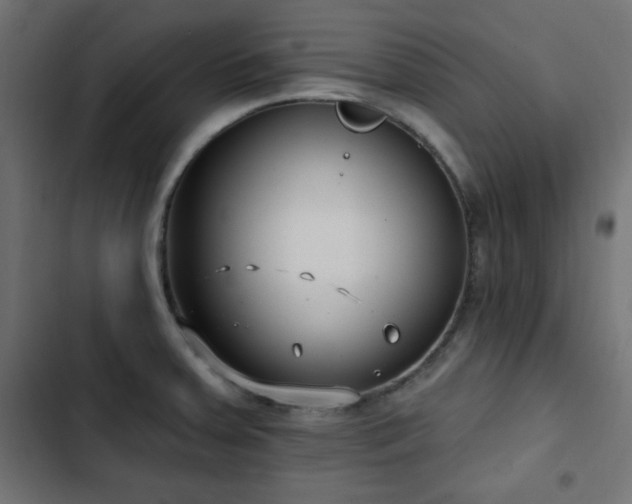 X0000103491379200809121704