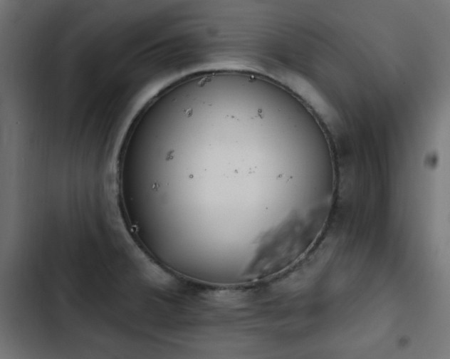 X0000103491380200809121704