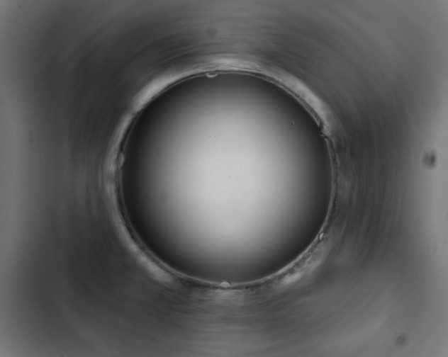 X0000103491381200809121704