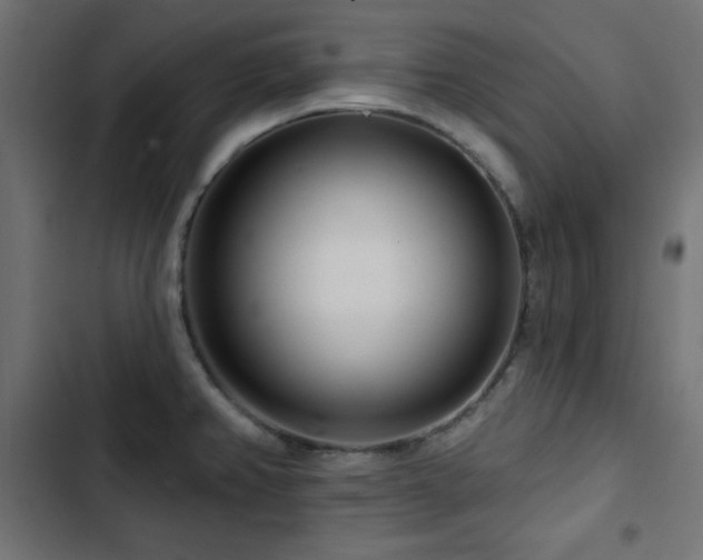 X0000103491382200809121704