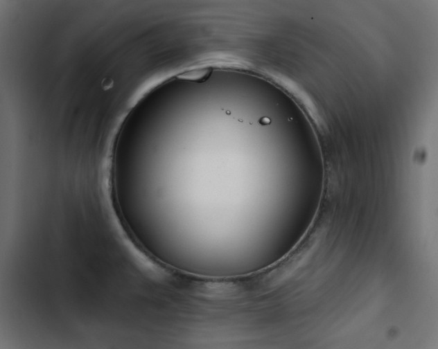 X0000103491383200809121704