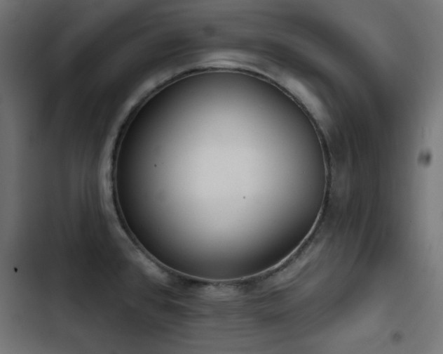 X0000103491384200809121704