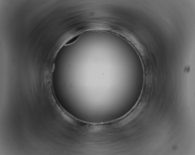 X0000103491385200809121704