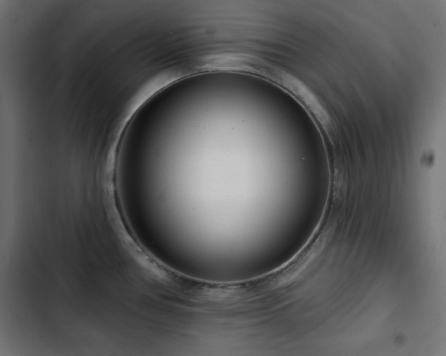 X0000103491386200809121704