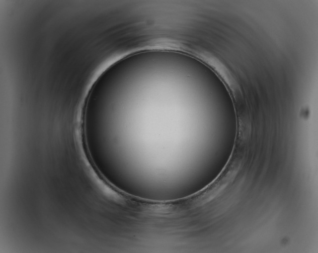 X0000103491387200809121704