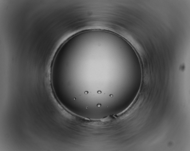 X0000103491388200809121704