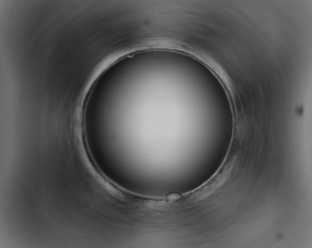 X0000103491389200809121704