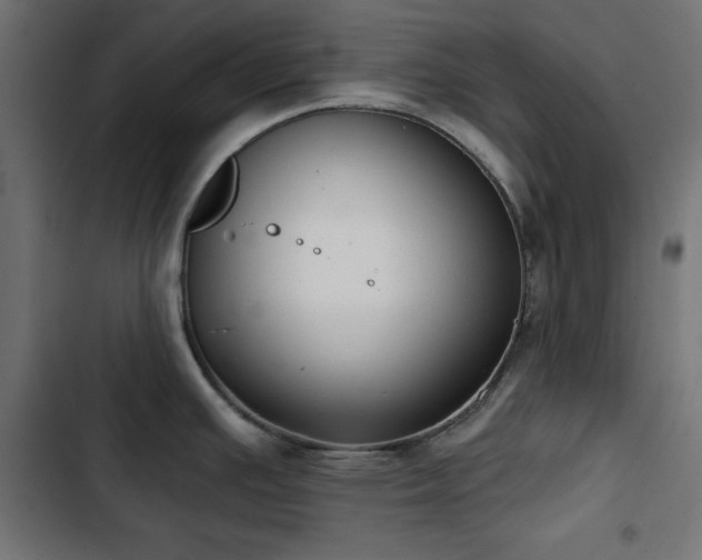 X0000103491391200809121704