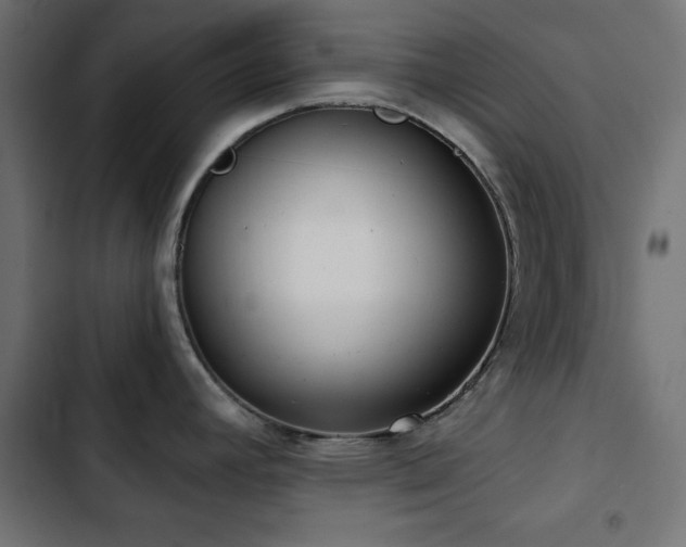 X0000103491392200809121704