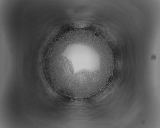 X0000103491393200809121703