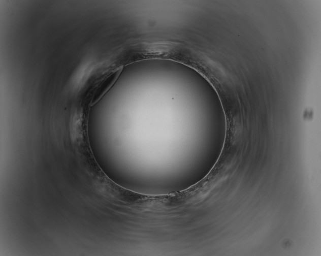 X0000103491394200809121703