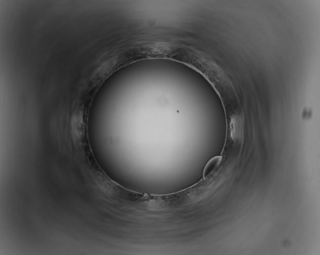 X0000103491395200809121703