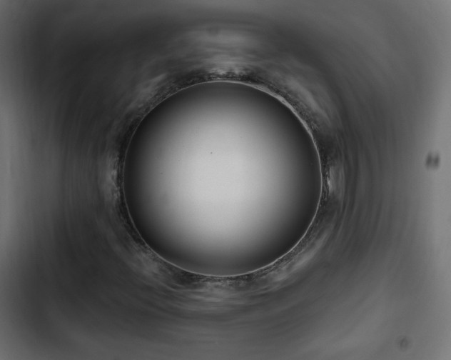 X0000103491396200809121703