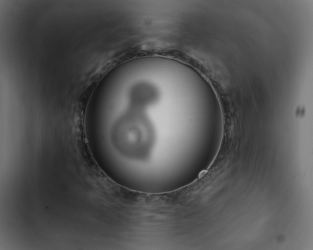 X0000103491397200809121703