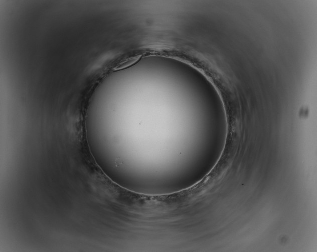 X0000103491398200809121703