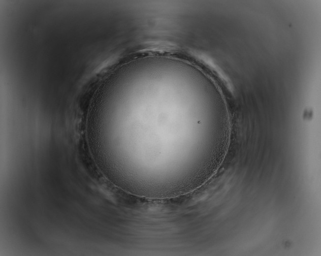 X0000103491399200809121703