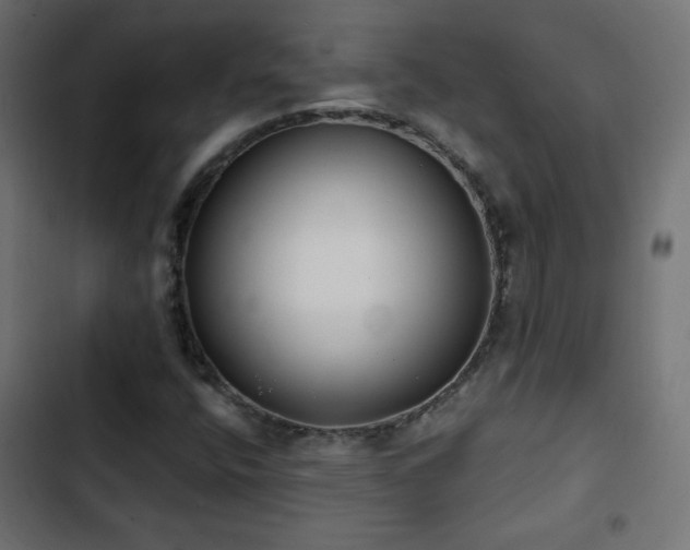 X0000103491400200809121703