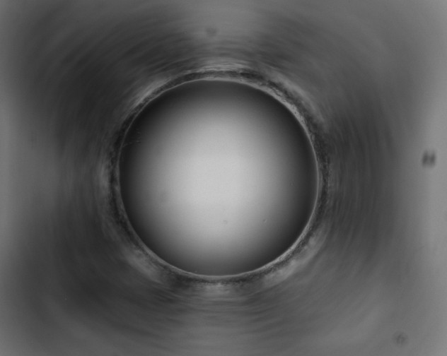 X0000103491401200809121703