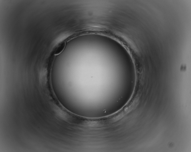 X0000103491402200809121703