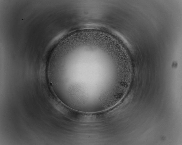 X0000103491403200809121703