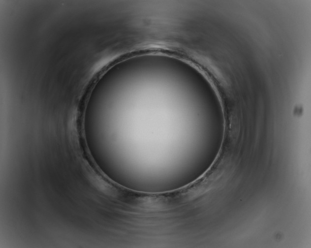 X0000103491404200809121703