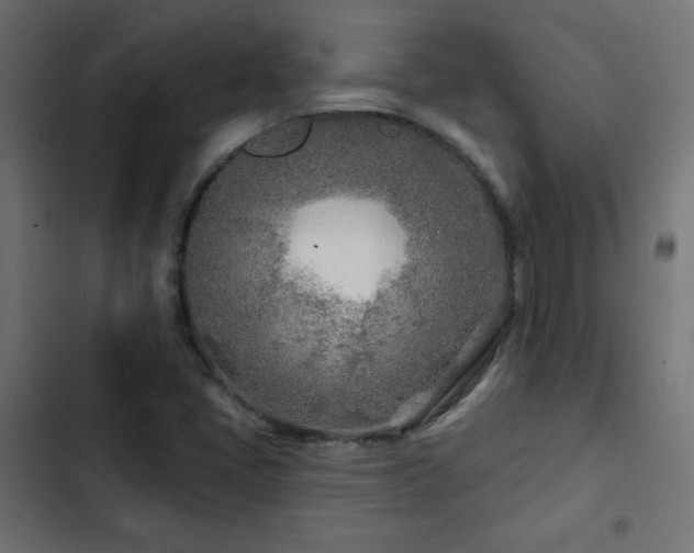 X0000103491405200809121703