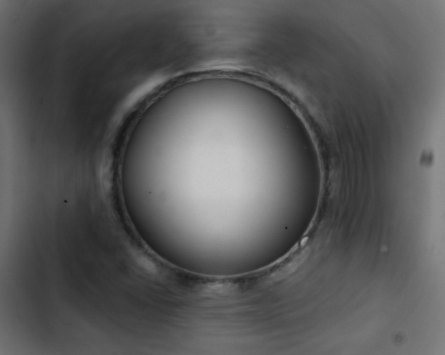 X0000103491406200809121703