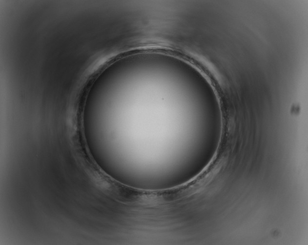 X0000103491407200809121703