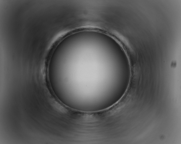 X0000103491408200809121703