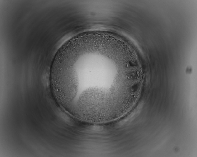 X0000103491409200809121703