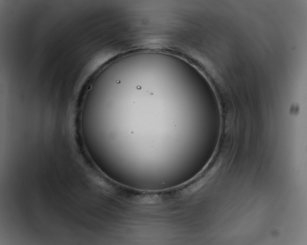 X0000103491410200809121703