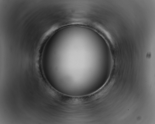 X0000103491411200809121703